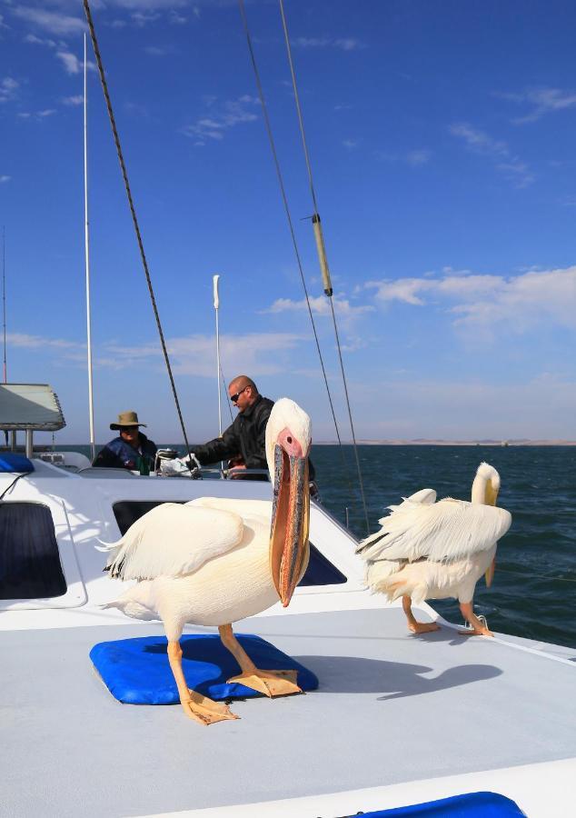 Tiende Laan Bed & Breakfast And Self-Catering Walvis Bay Eksteriør bilde
